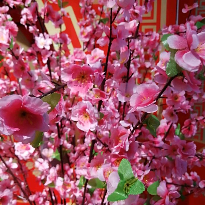 牡丹