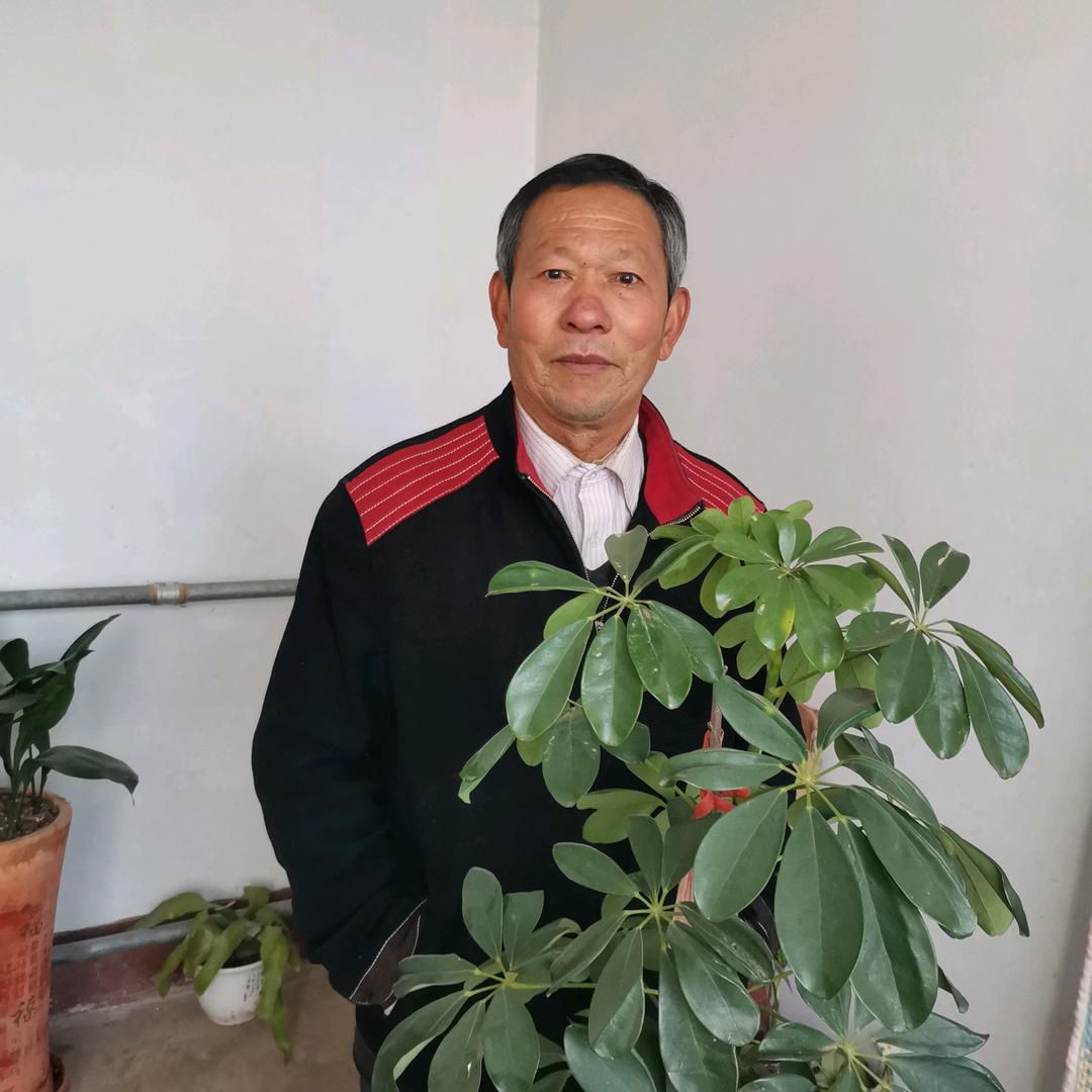 农民刘歌1