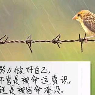 猜不透的心
