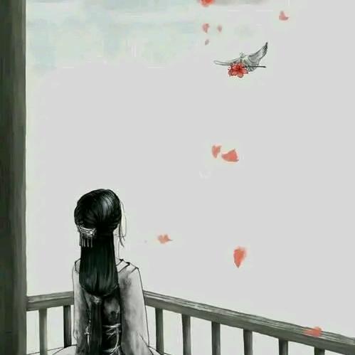 随心日记
