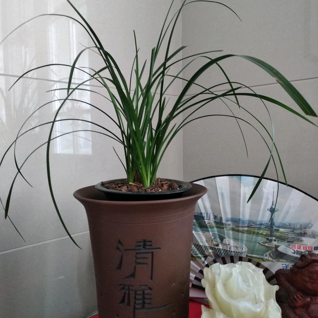 童叟无欺