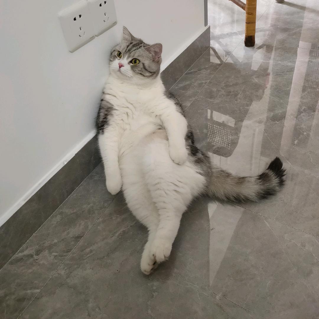 人在千里