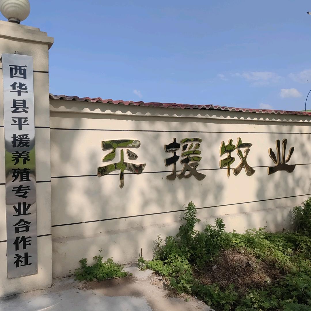 平援牛哥