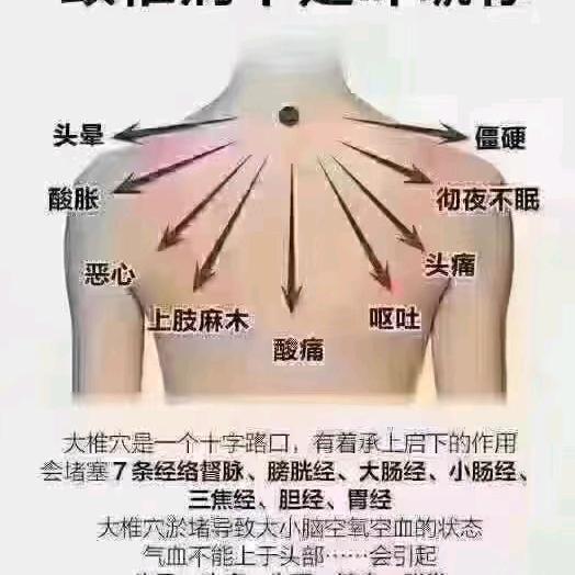 胖姐