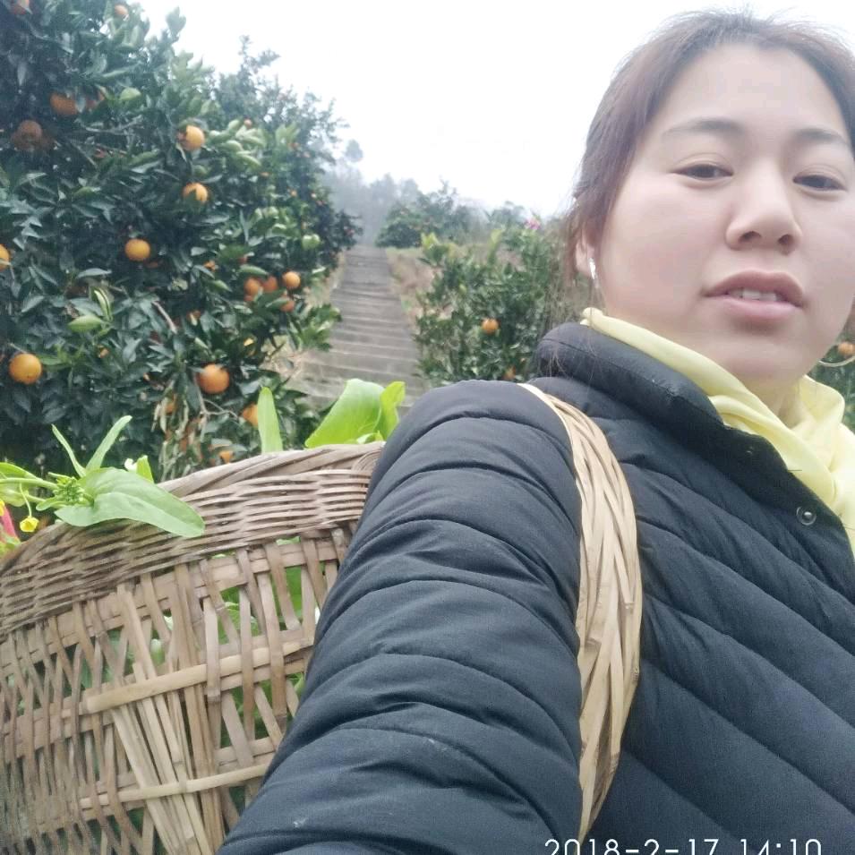 好运爆彭