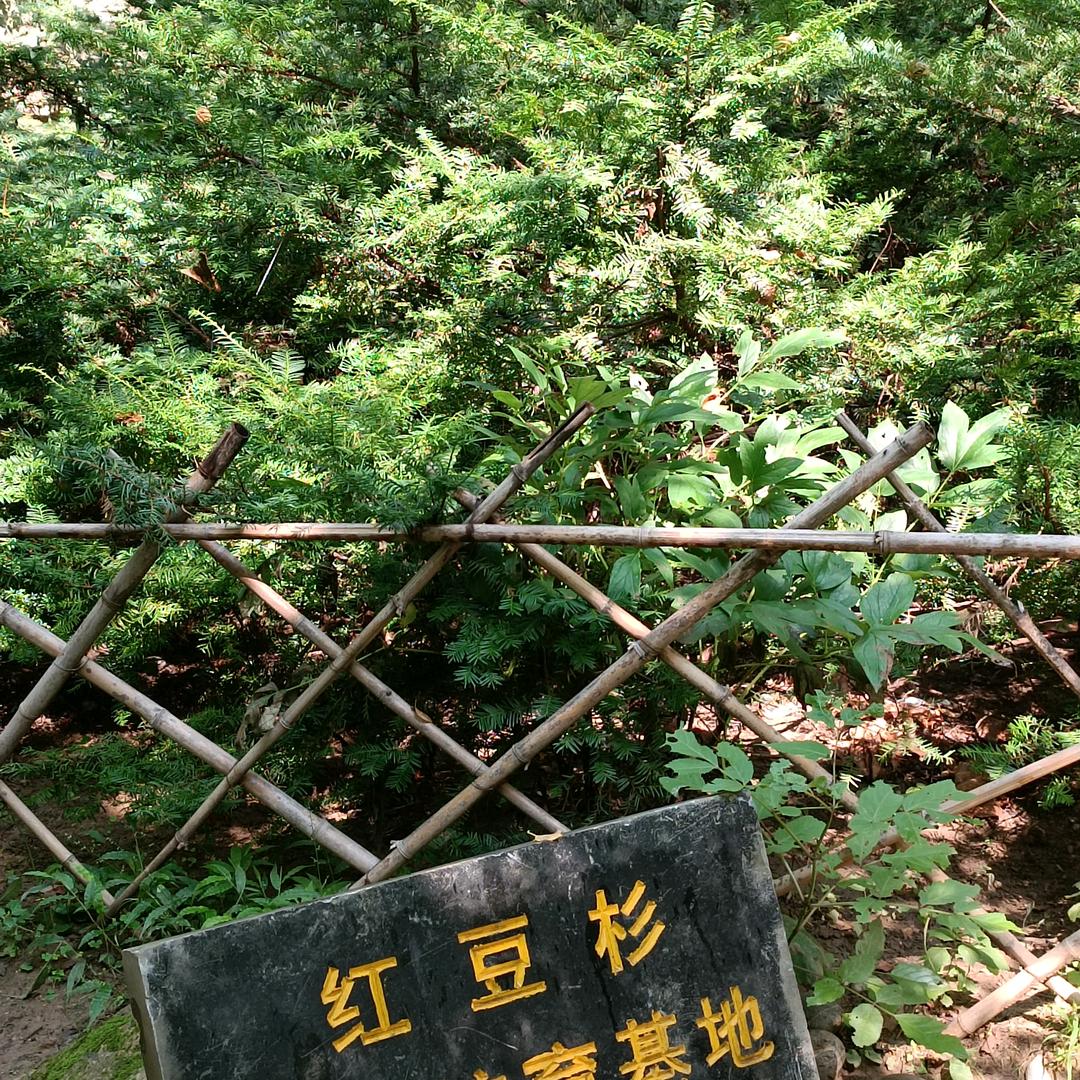 爱旅游的，峰