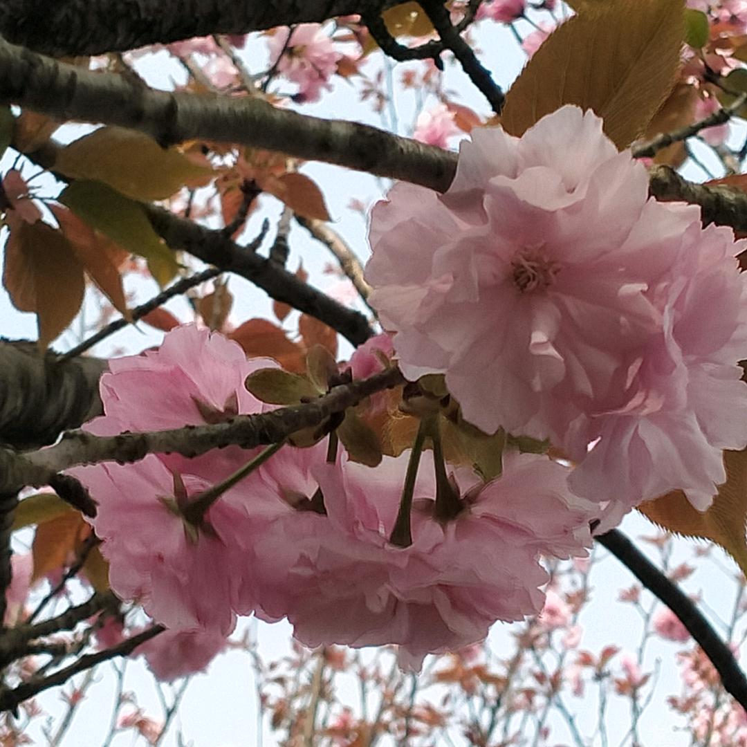 💞何哈哈