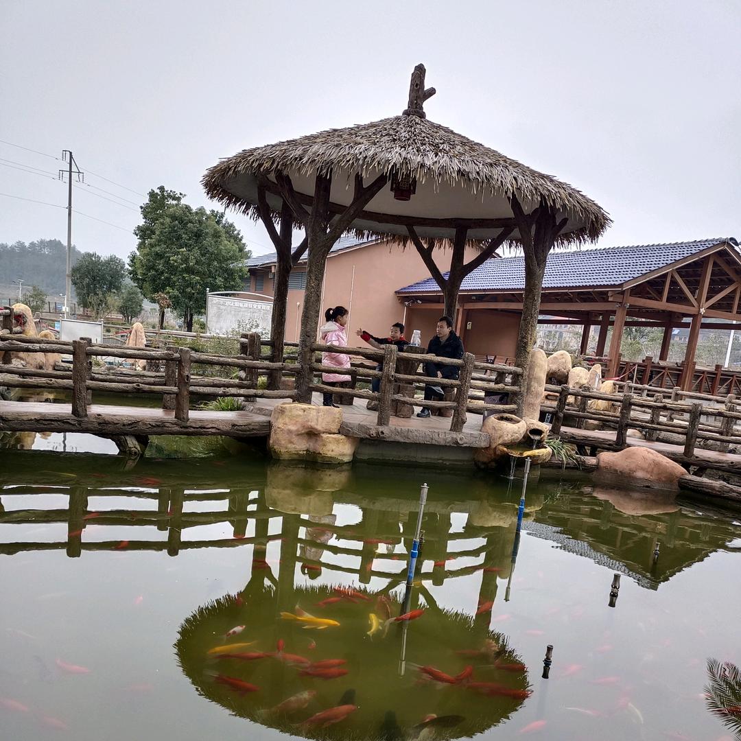 柠檬果