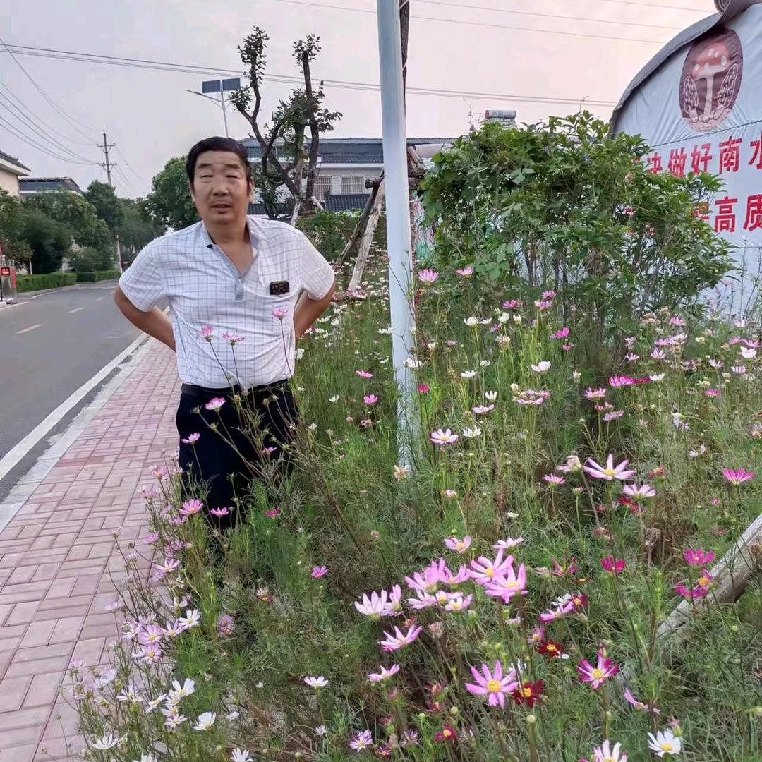 开心宝……