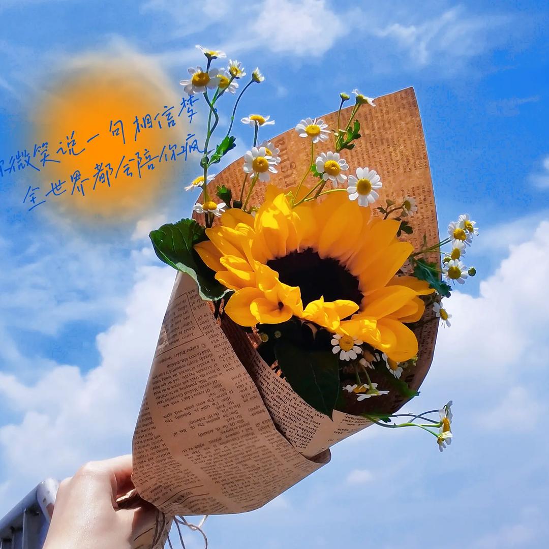 🌈ᥫᩣ෴₅₂₀可乐头像