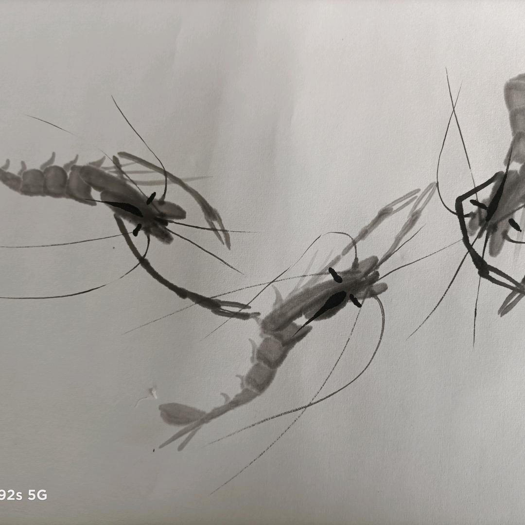 红豆画虾