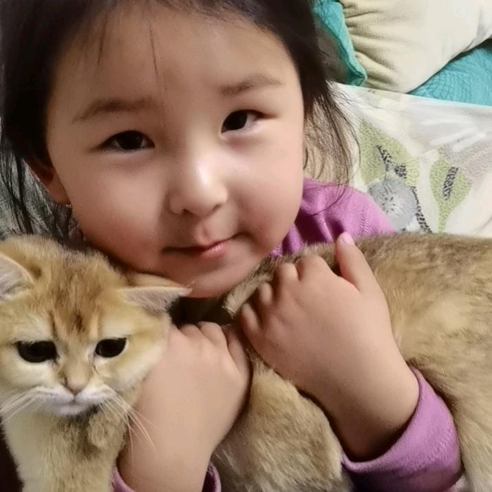 心想事成