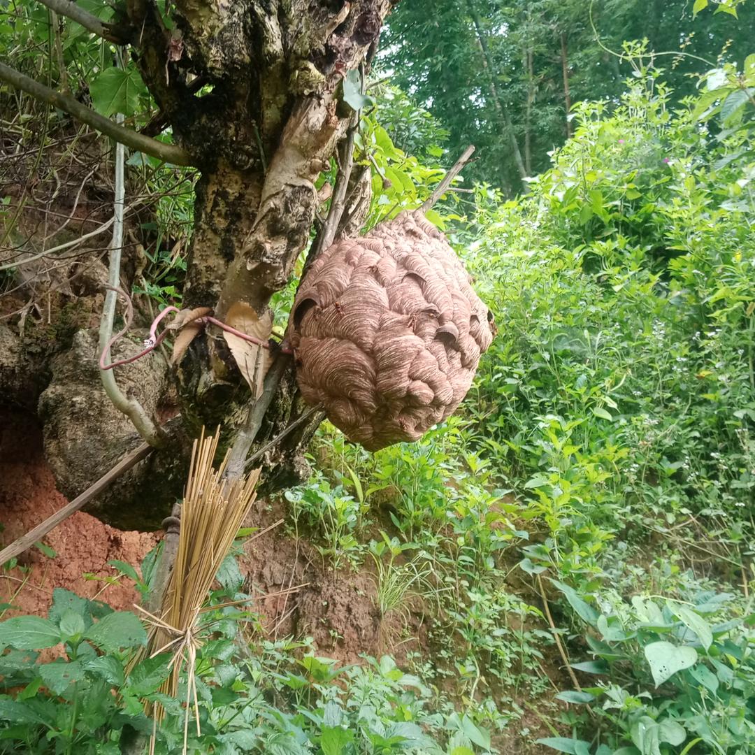 翻山越岭