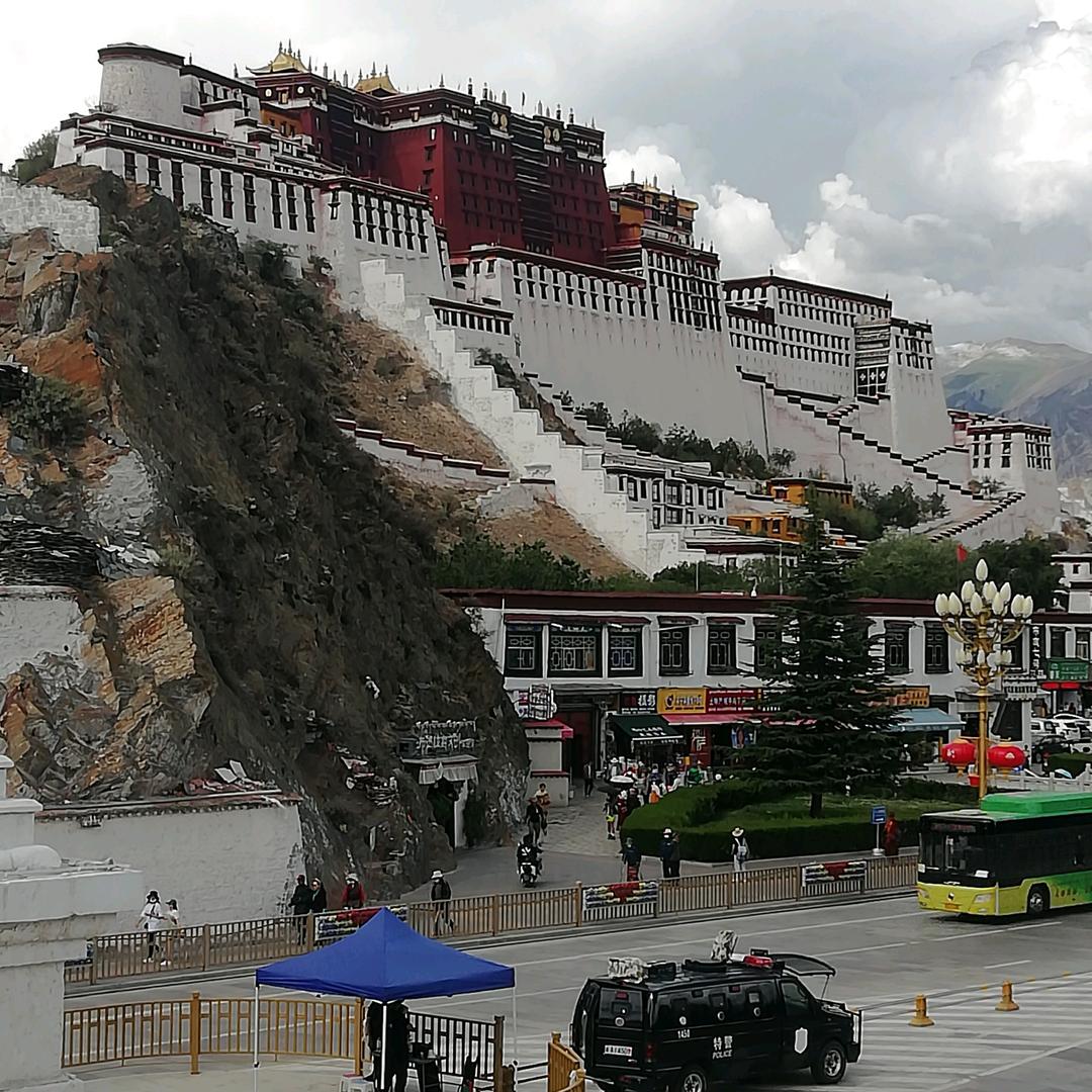 用户7915188770100亚琪飘带