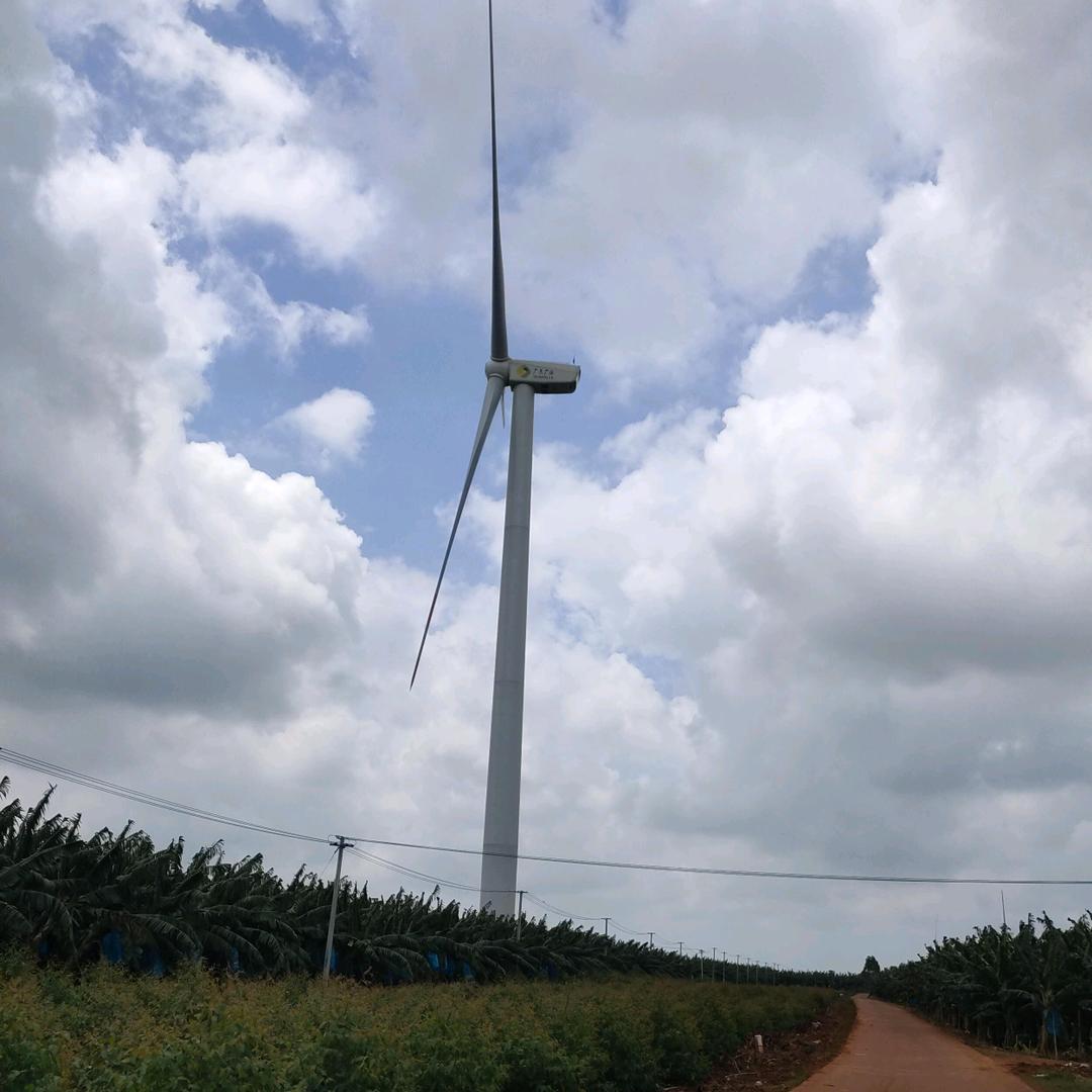 落叶ヽ情叹惜 　 落花ヽ殇执笔