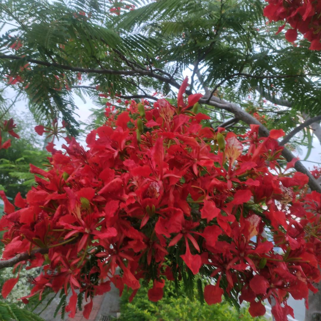 为幸福加油