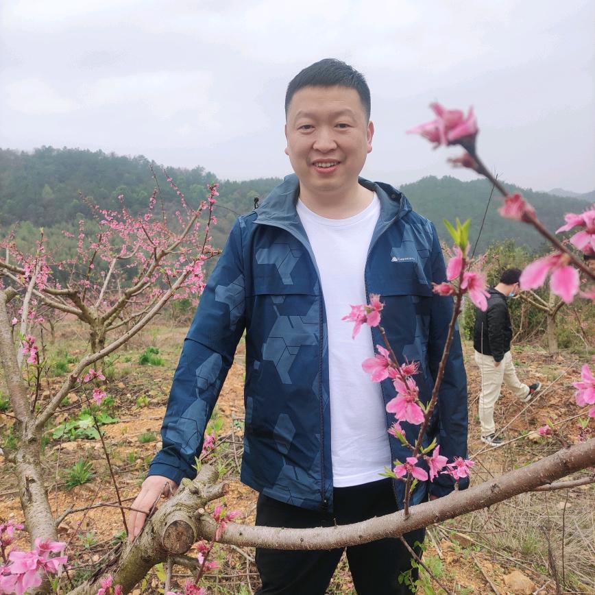 映像阳逻