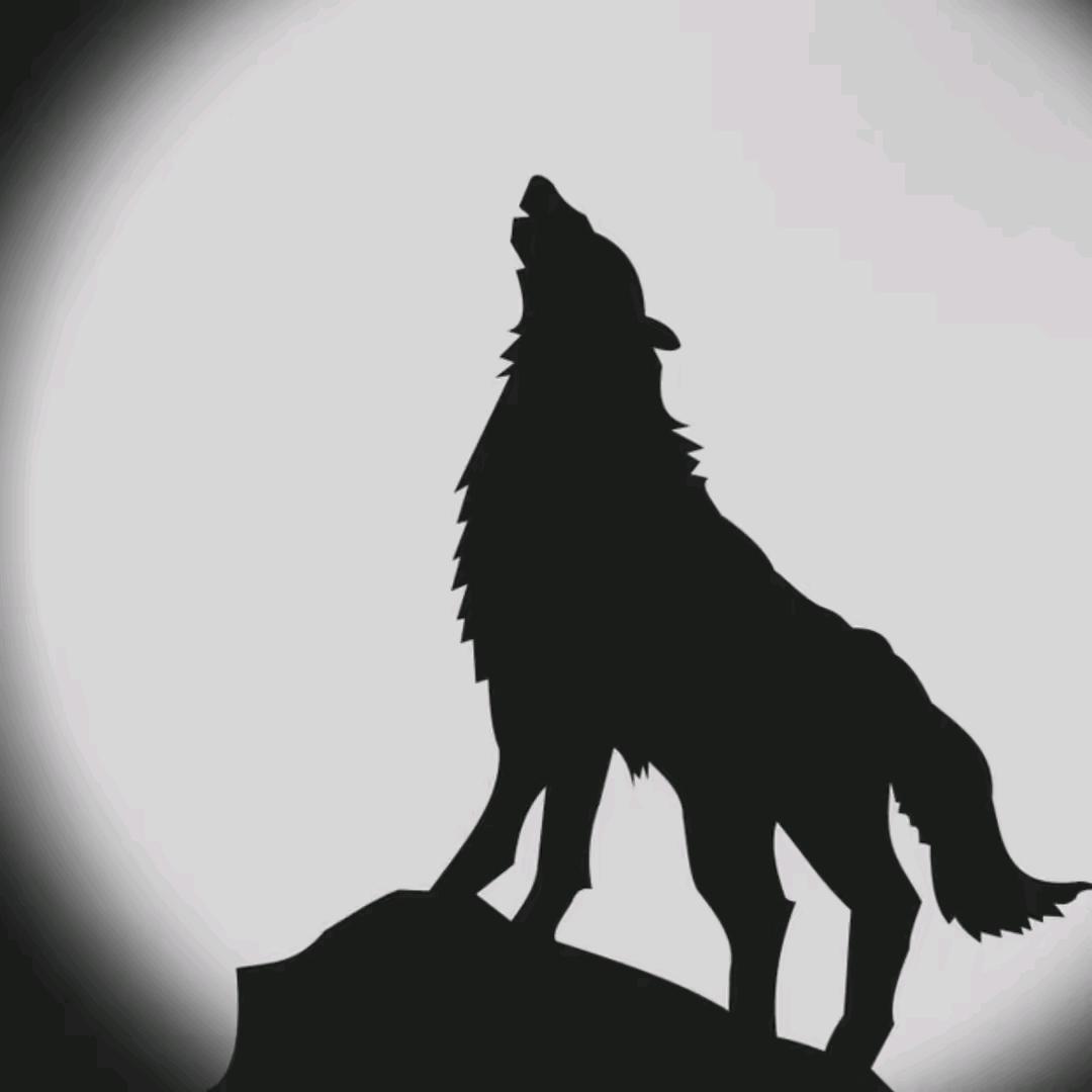 狼🐺