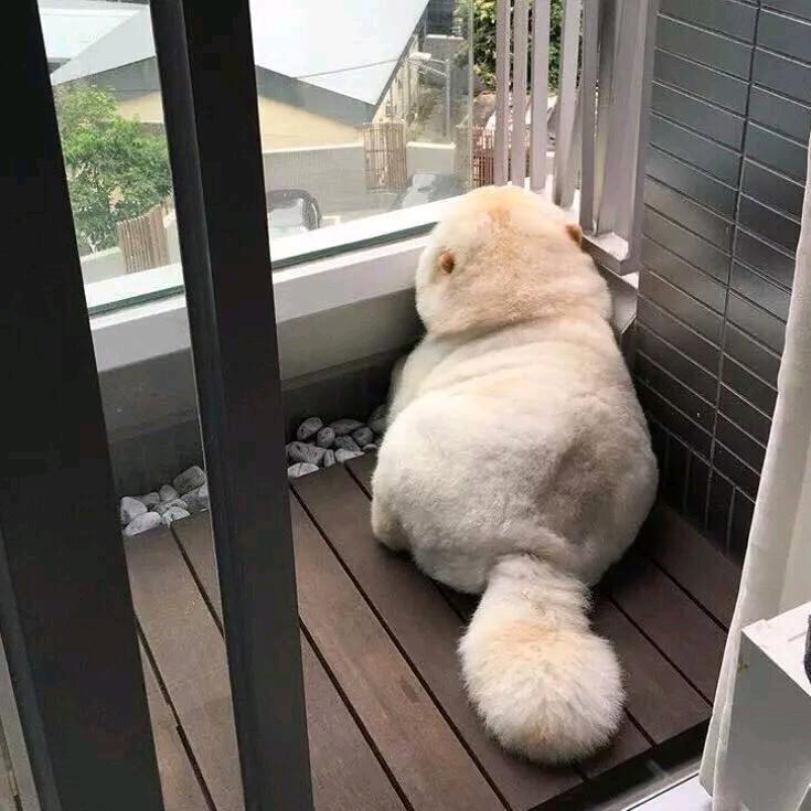 总会有阳光