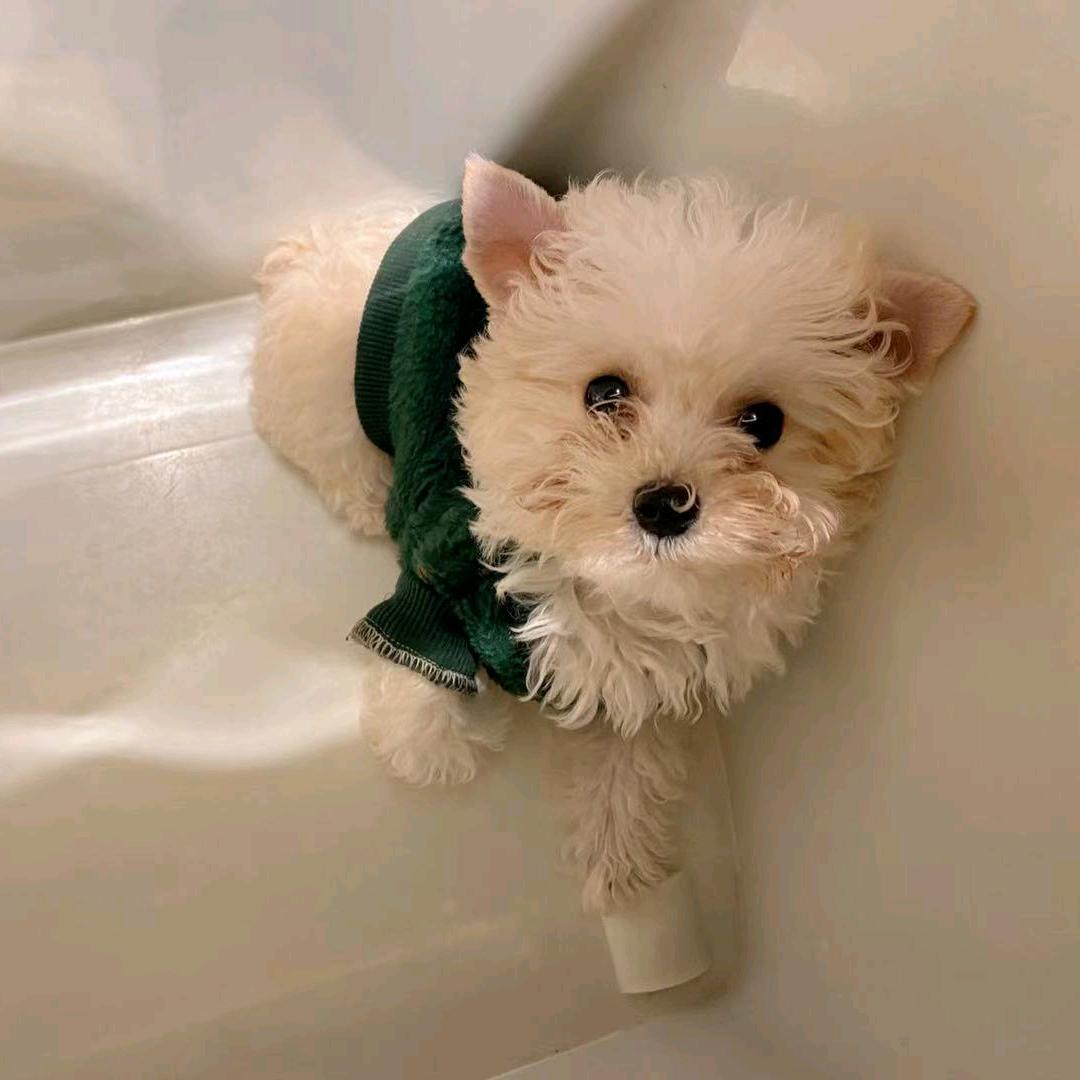 宏源羊绒定制工厂店