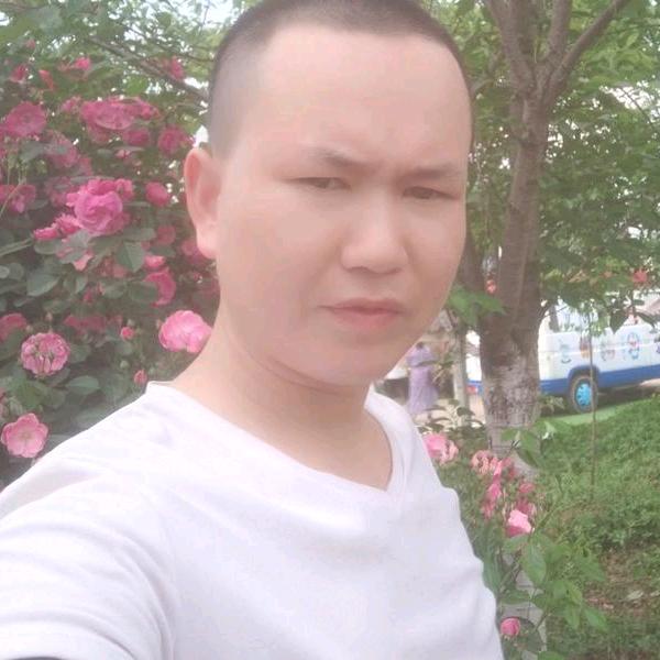 愙歖