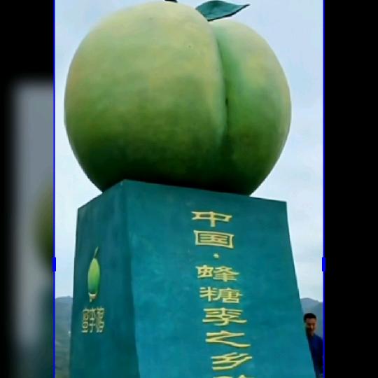 风琼鲜果