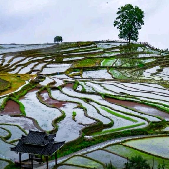 大家好，财是真的好