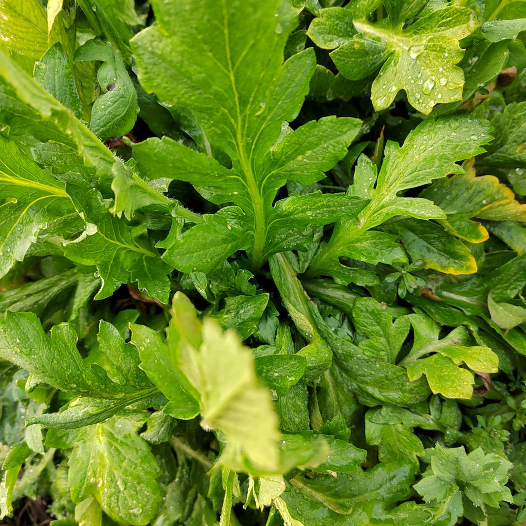 用户9362530571650健康是福