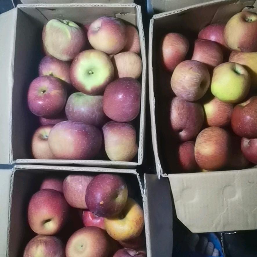 克理斯单身爸爸