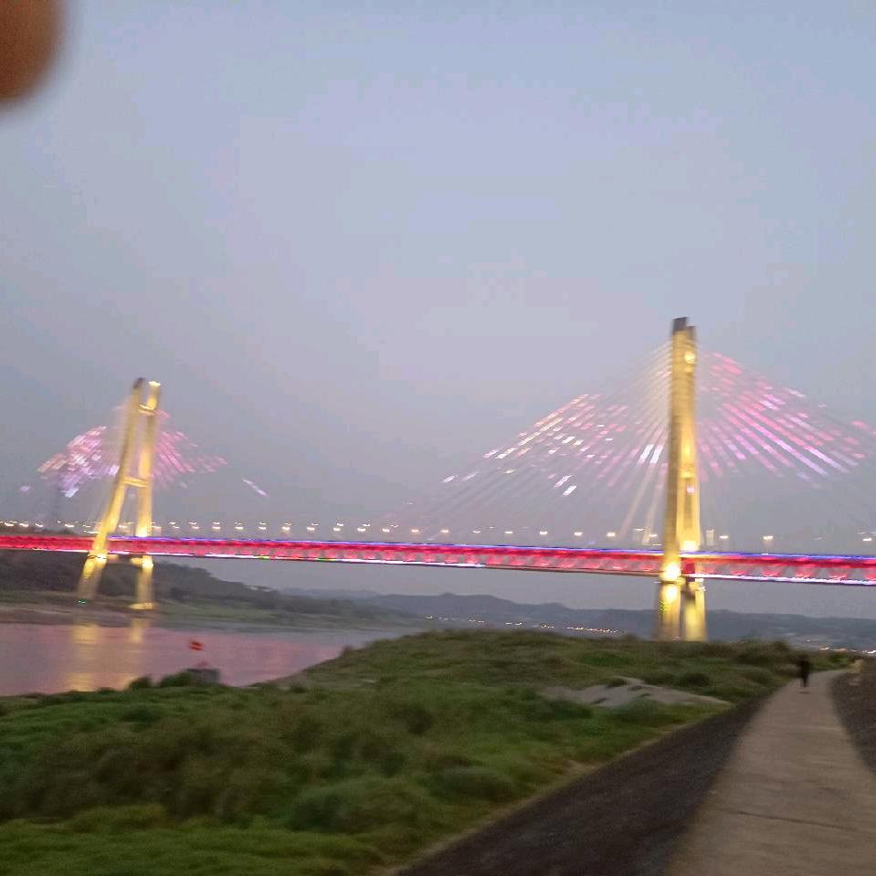 手机用户612631