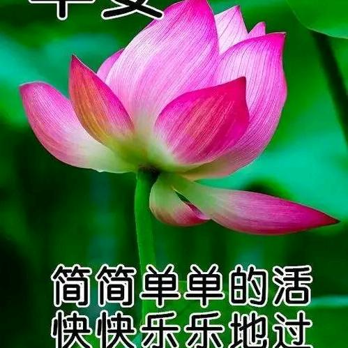 梦里有你