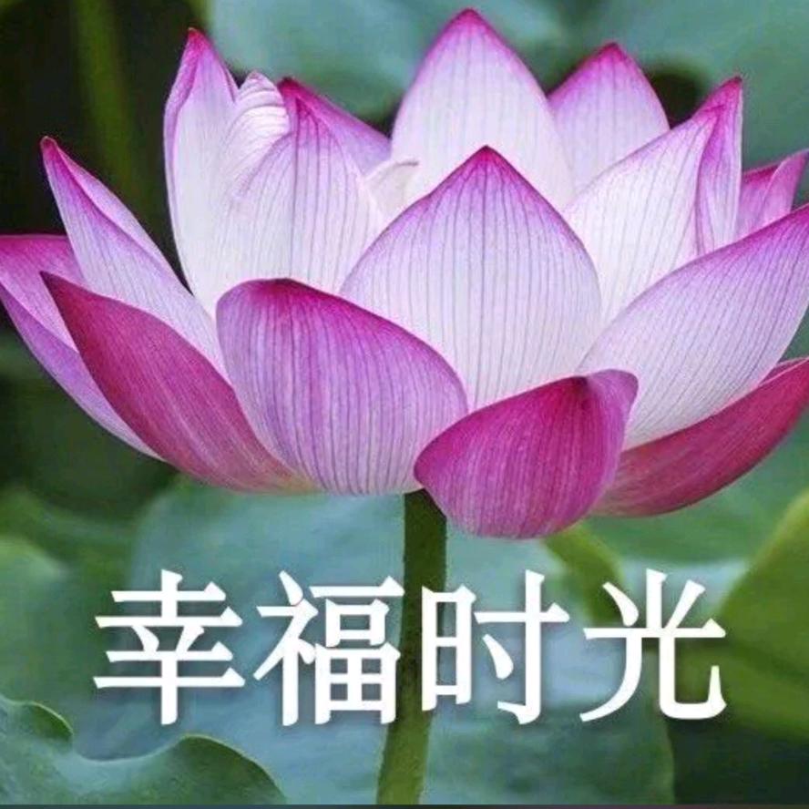 周周～