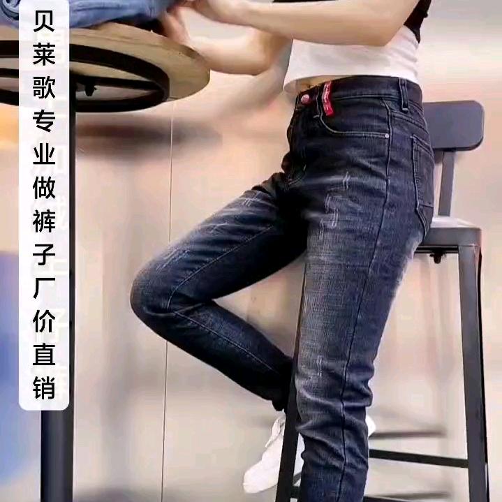 贝莱歌