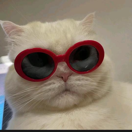 1_