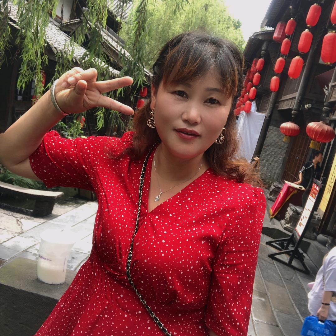 十月菊花香说车