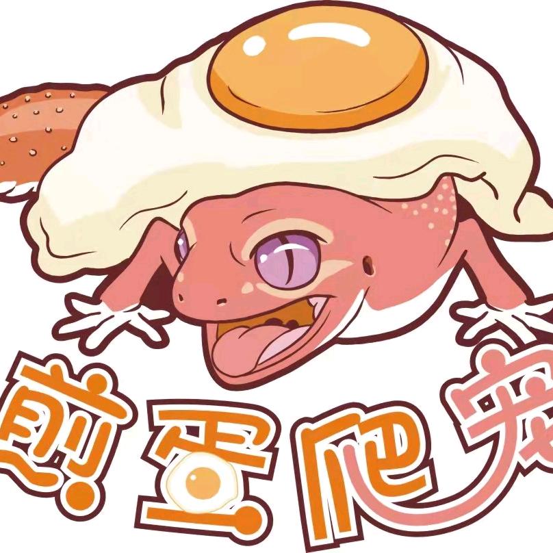 煎蛋爬宠