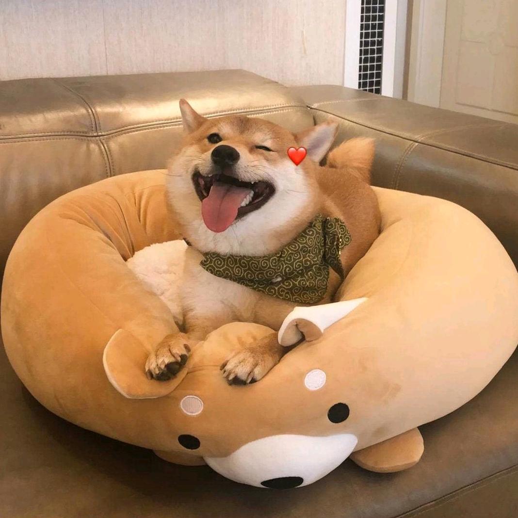 悄悄话