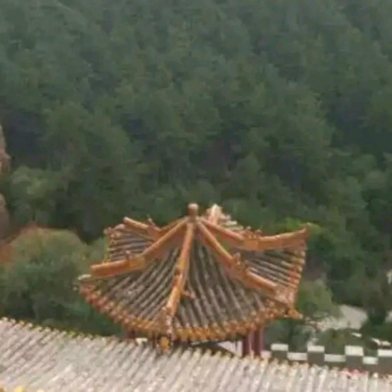 @🏹人生半途🍺