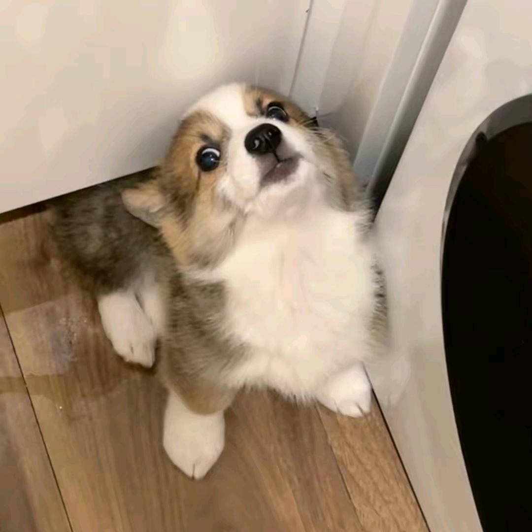 猛踹瘸子那条好腿🦵