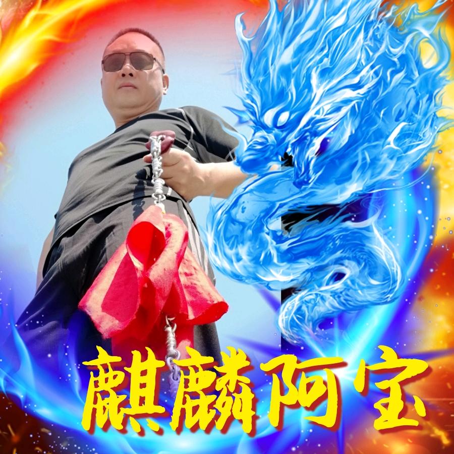 🇨🇳麒麟⛓阿宝🇨🇳