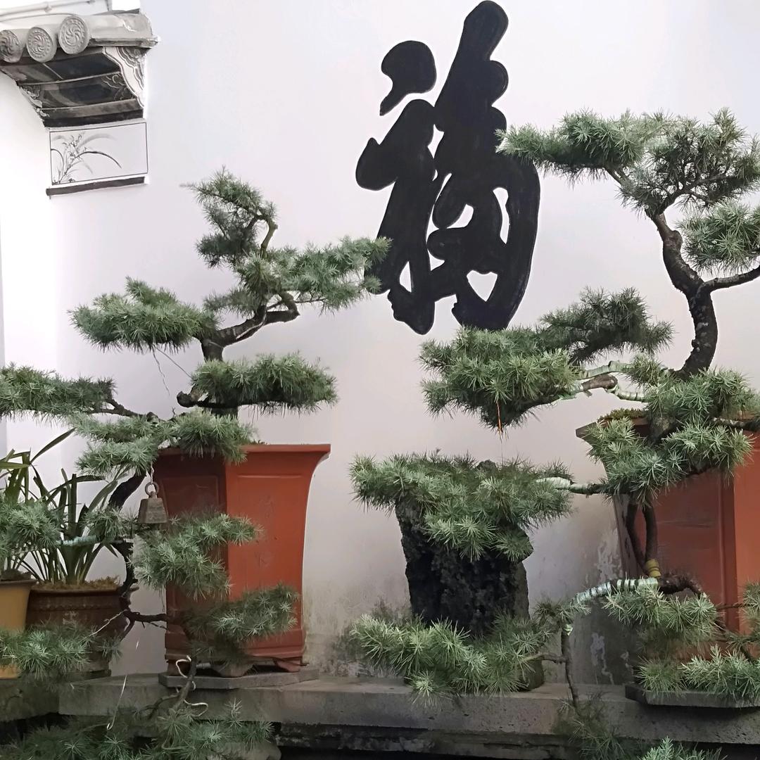 往事清零