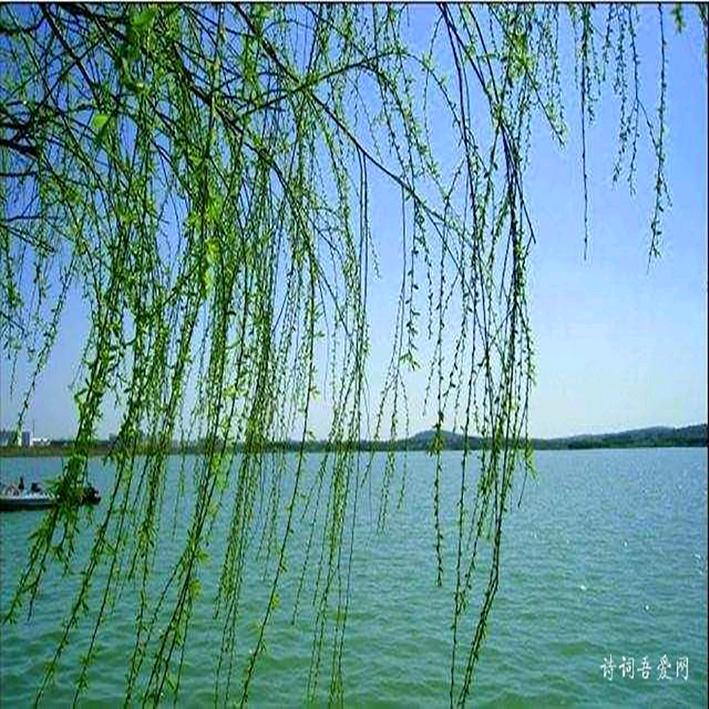 沧海一粒头像