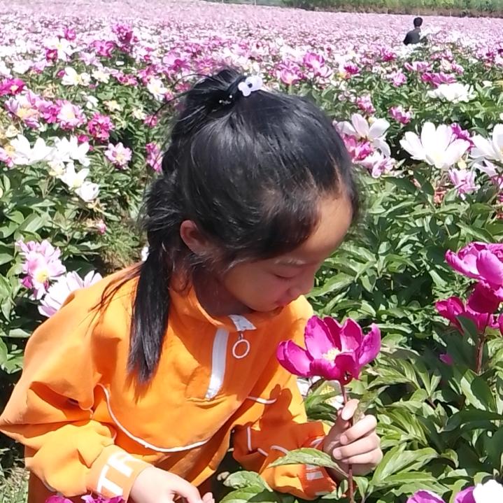 陌生人