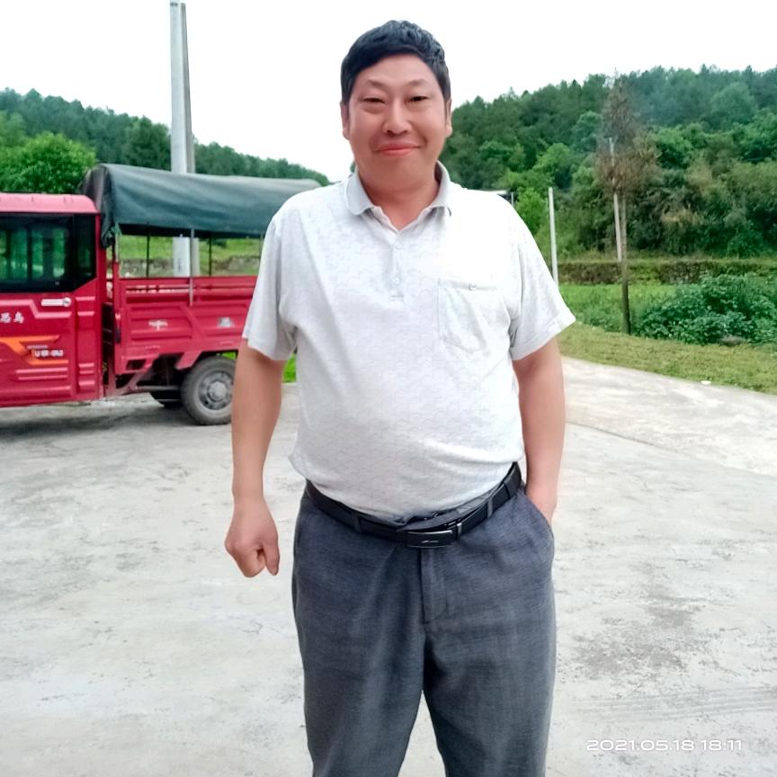 一往情深