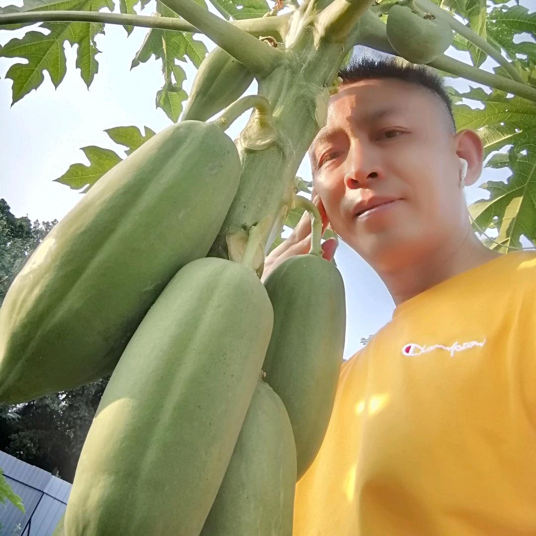 ③耀睿↖佛᭄山᭄靖᭄安᭄