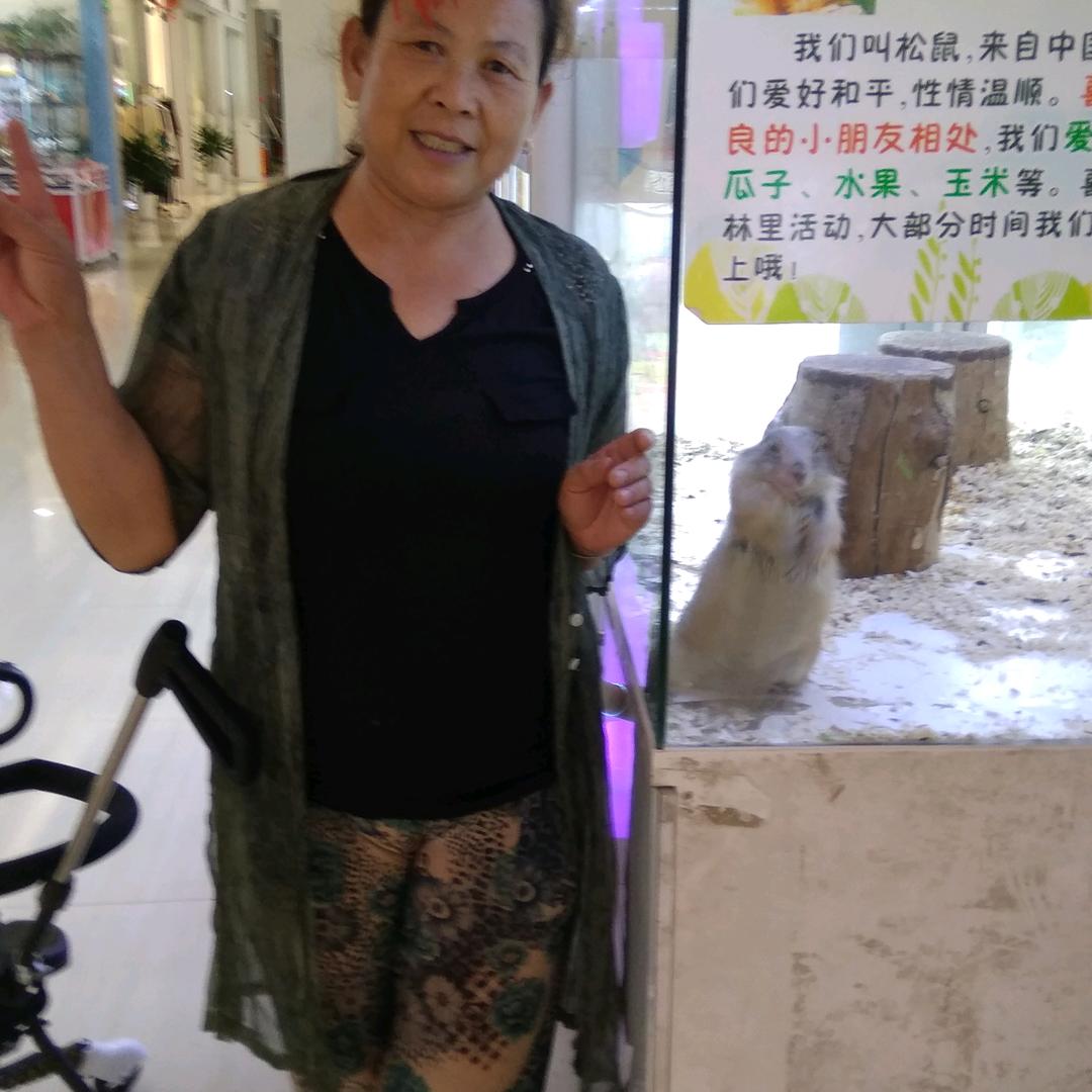 林枝