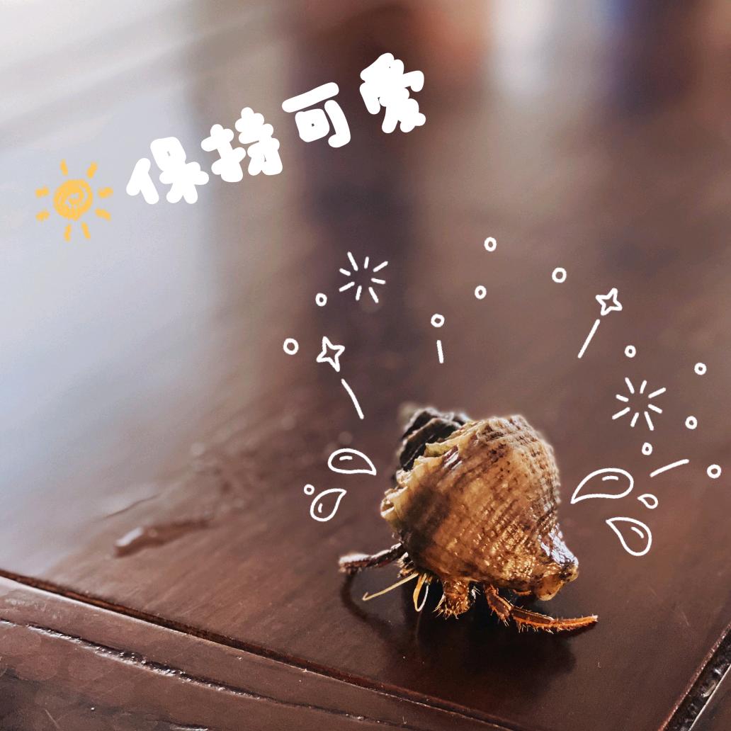 不小心出来的一个