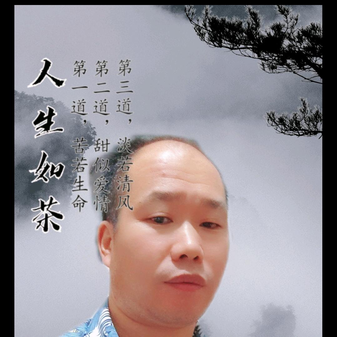 真龙《大江南茶业》