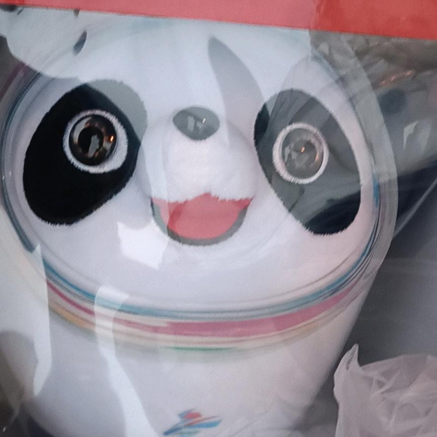 爱上夜钓