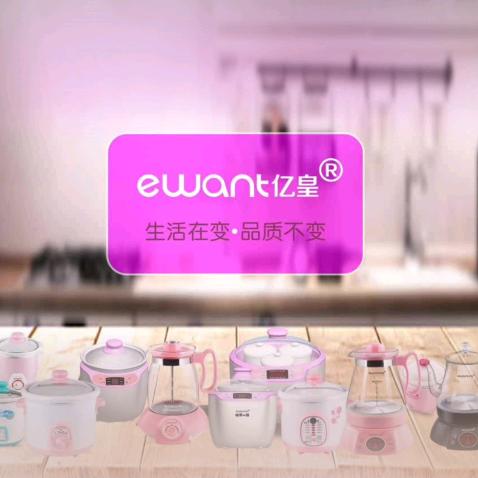 亿皇电器企业店